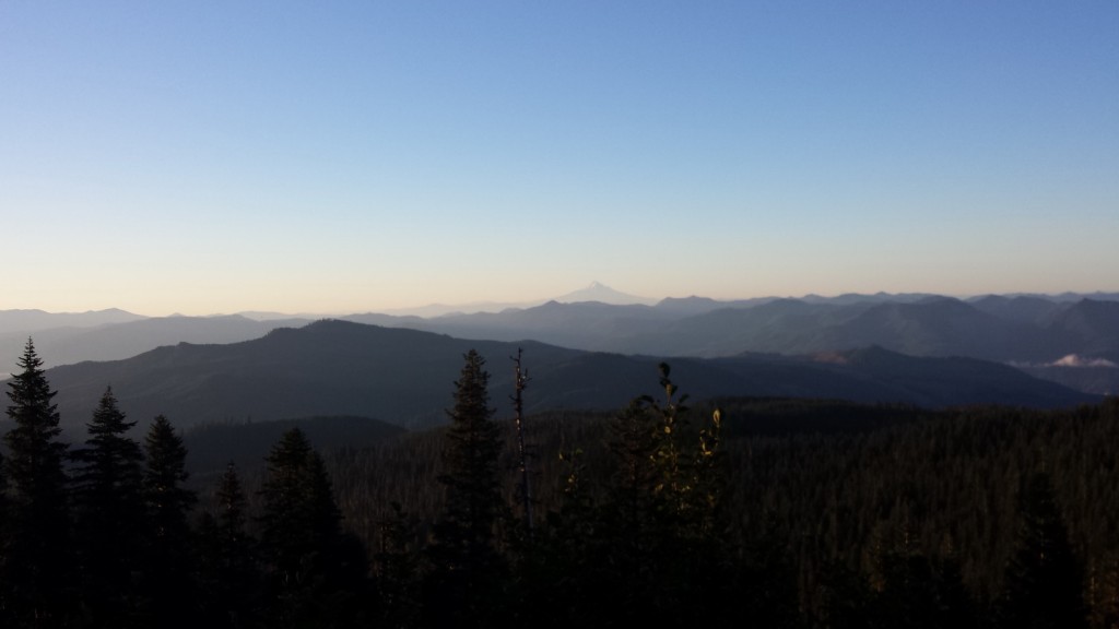 Once the forest cleared, I could see Mt. Hood in the South.