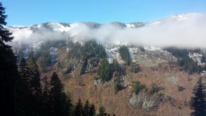 Fog over Humpback Creek.