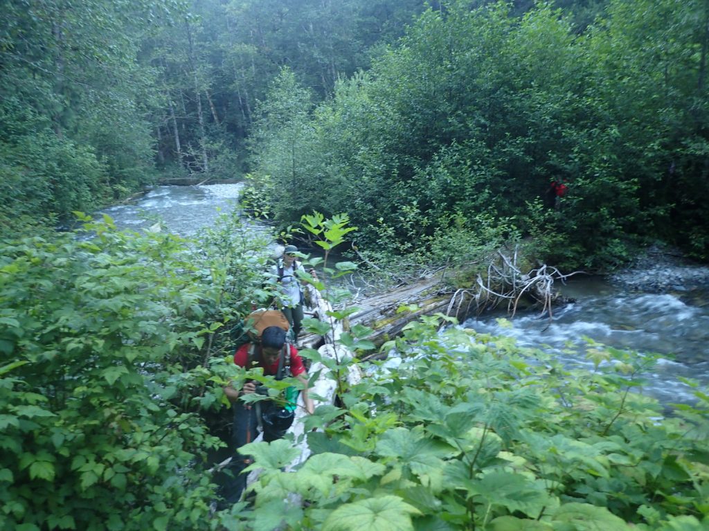 Log crossing over the North Fork Cascade River.