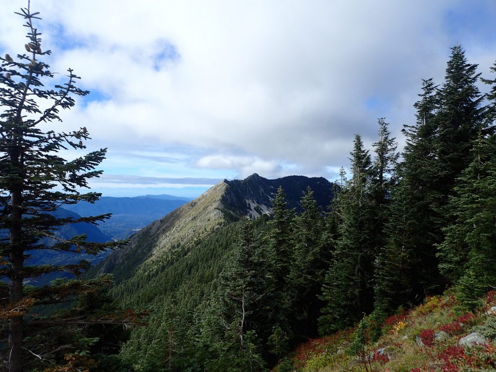 From just below Mount Defiance, we could see the ridge we had just traversed from Putrid Pete's.