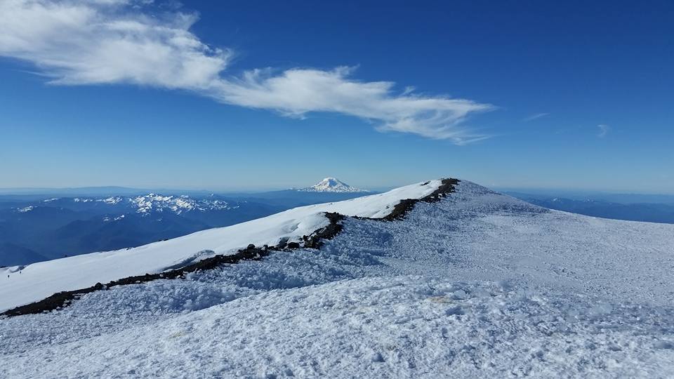 Mount Adams, as seen from Columbia Crest (picture by Vicki).