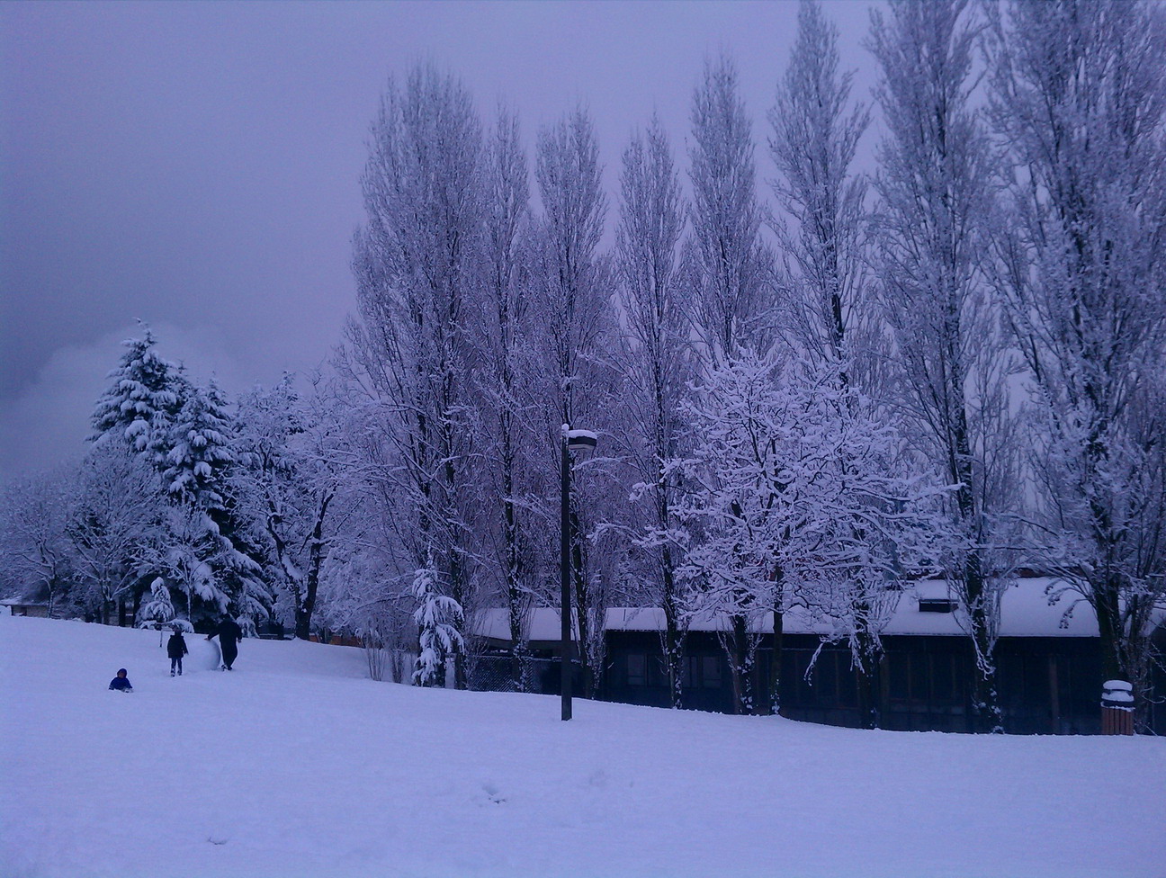 Seattle snow, 2012-01-15, outside my apartment.