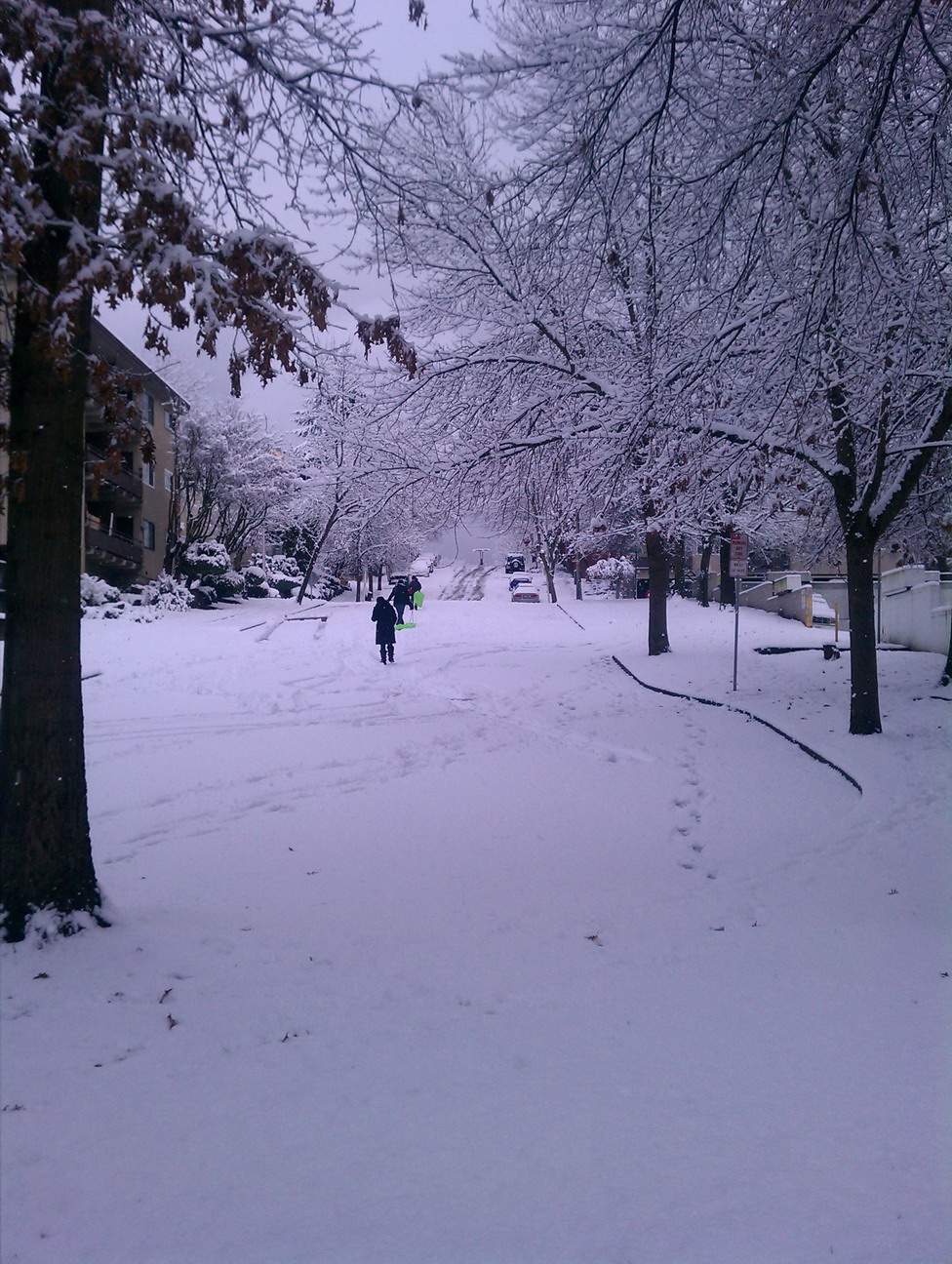 Seattle snow, 2012-01-15, kids sledding.