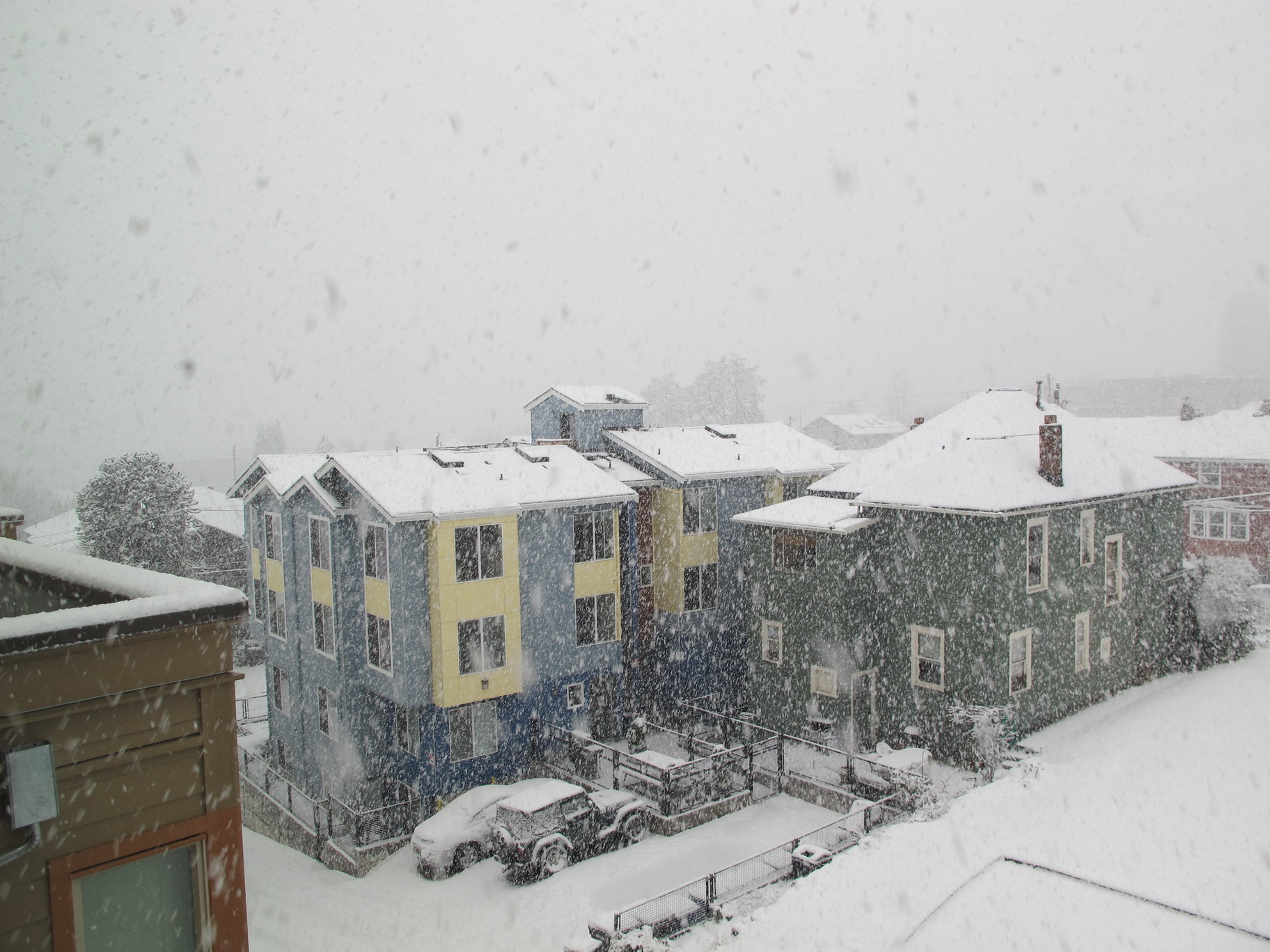 Seattle snow, 2012-01-15, from my apartment. Where's the city?